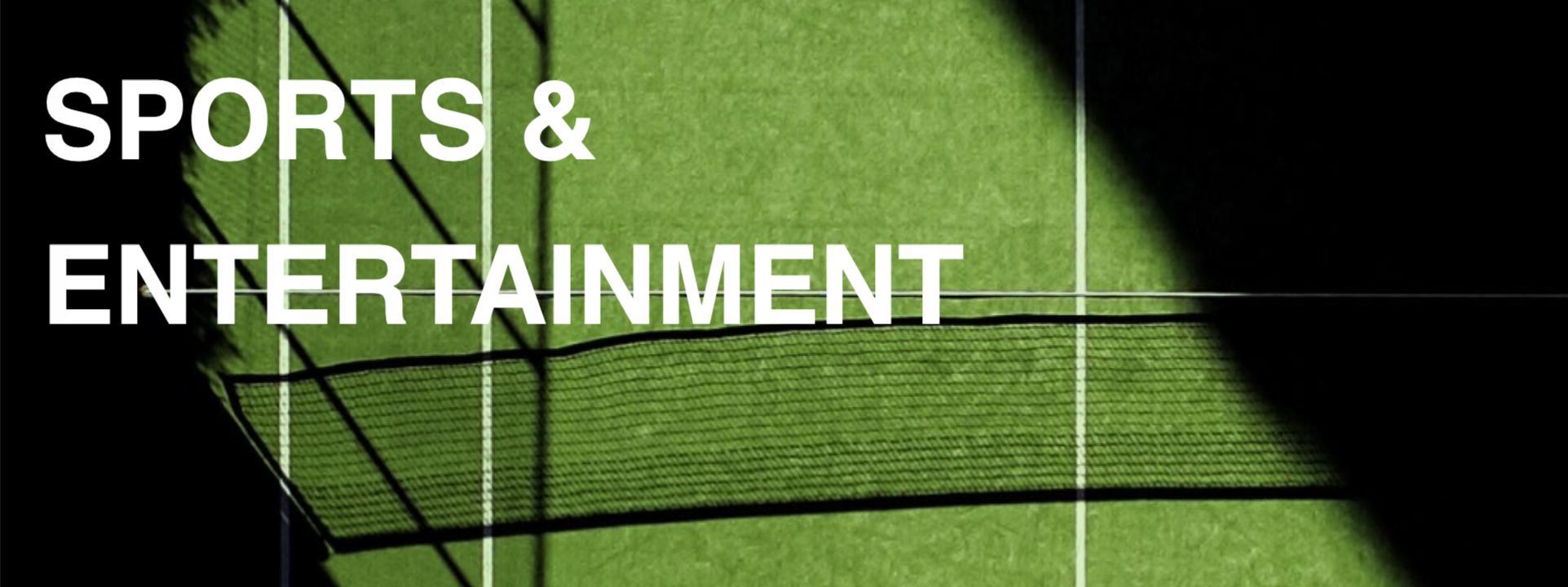Sport and Enterntainment litigation button